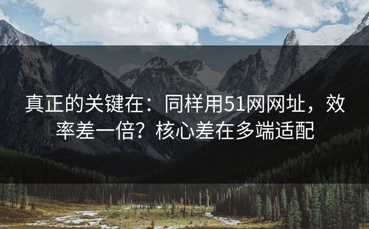 真正的关键在：同样用51网网址，效率差一倍？核心差在多端适配